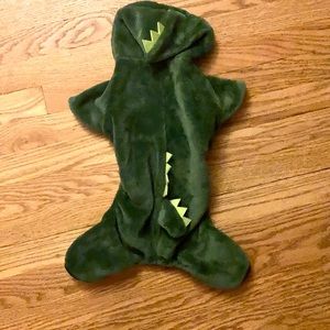 DOG PUP Dragon Dinosaur Lizard Costume